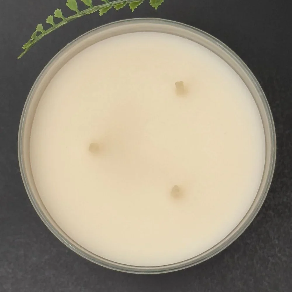 BBW In The Stars Bath & Body Works 3 Wick Candle